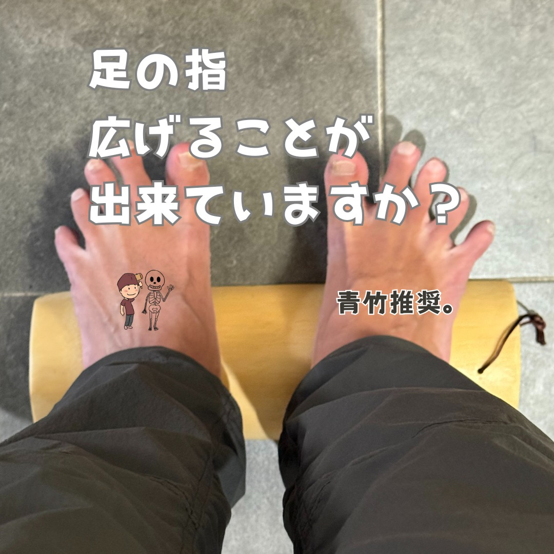 こんにちは！