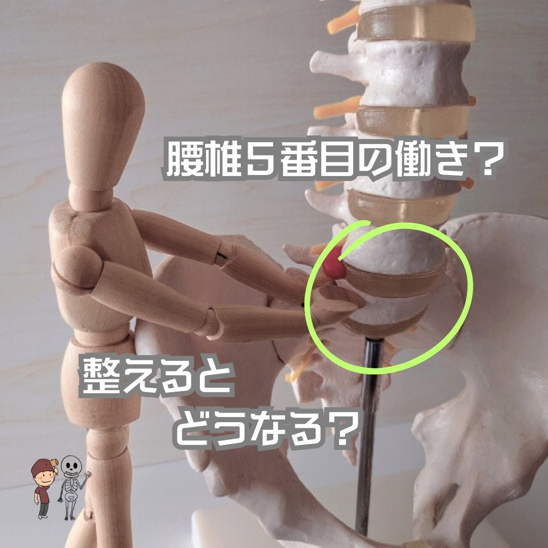 ✨おはようございます！浜町リッツ整骨院です✨