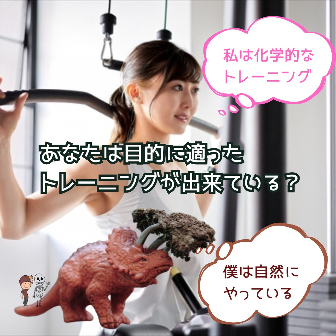 こんにちは！