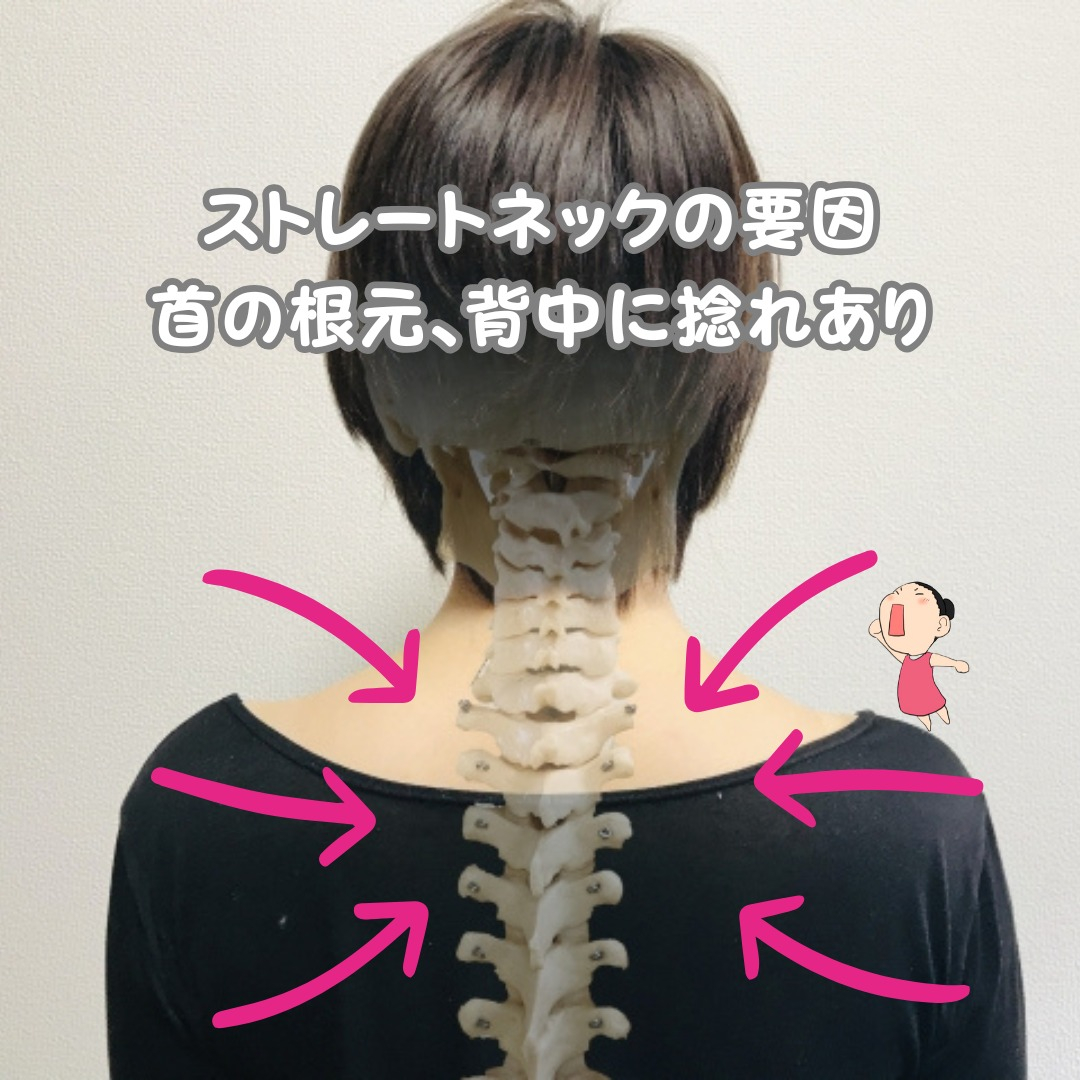 おはようございます！