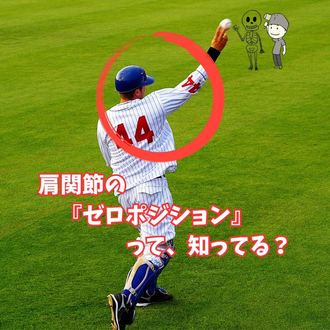おはようございます！