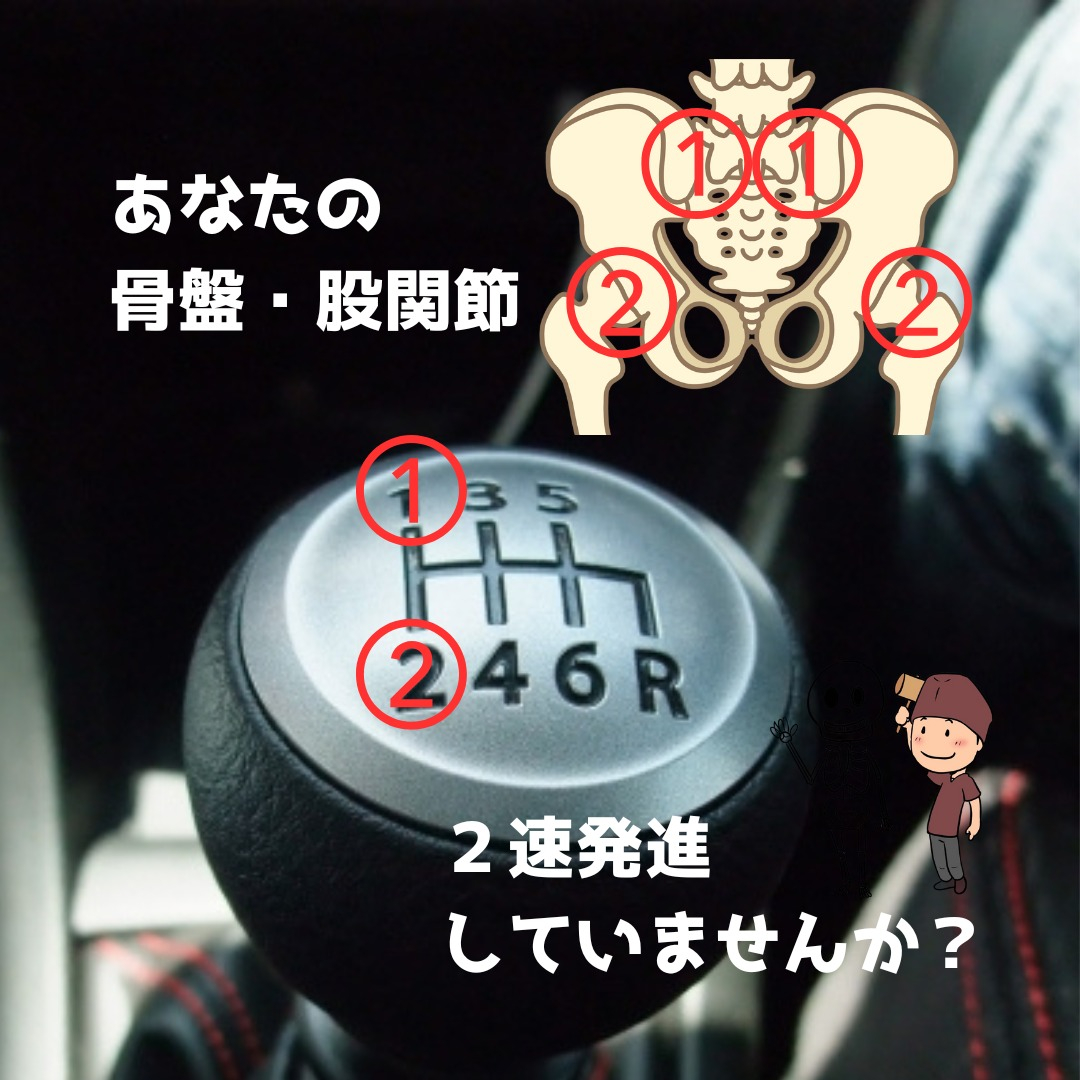 こんにちは！
