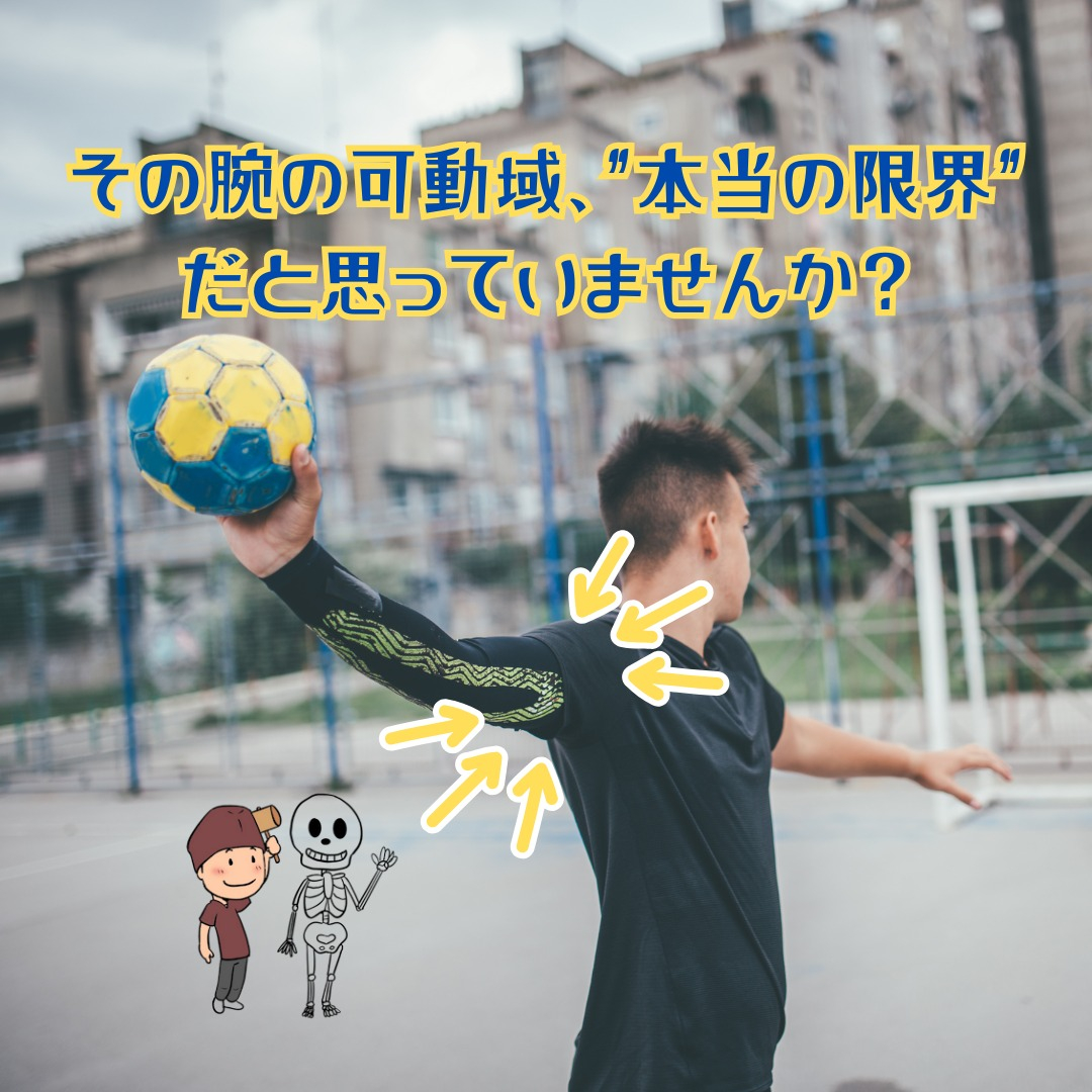 こんにちは！