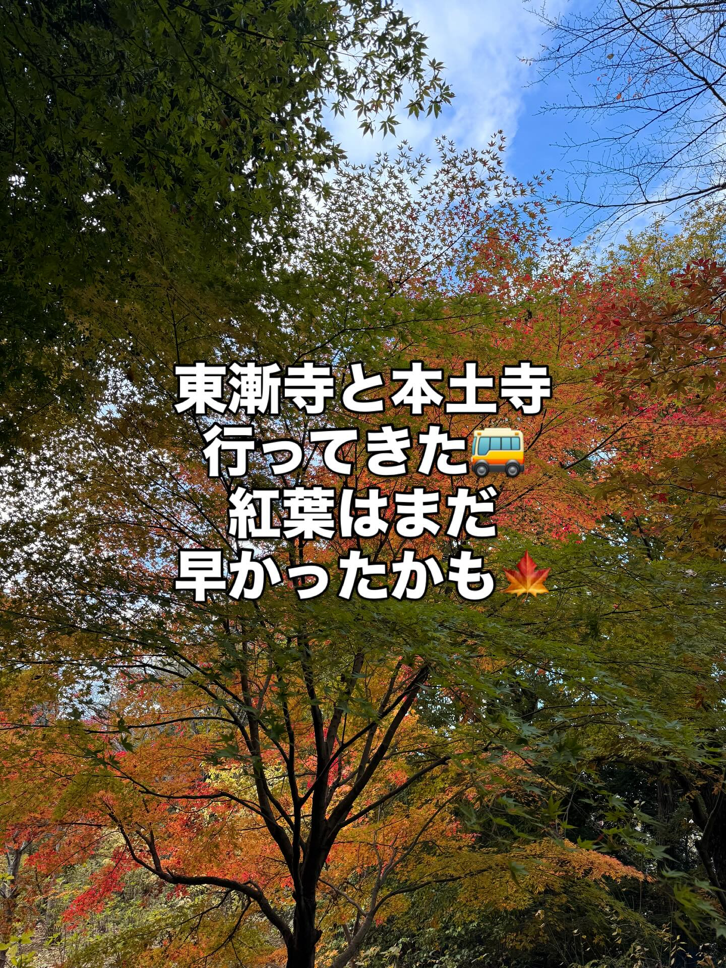 こんばんは！