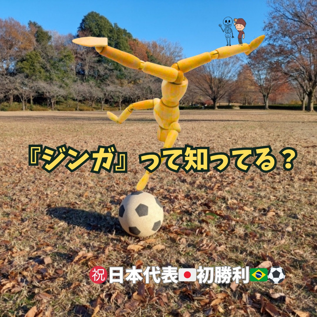 こんばんは！